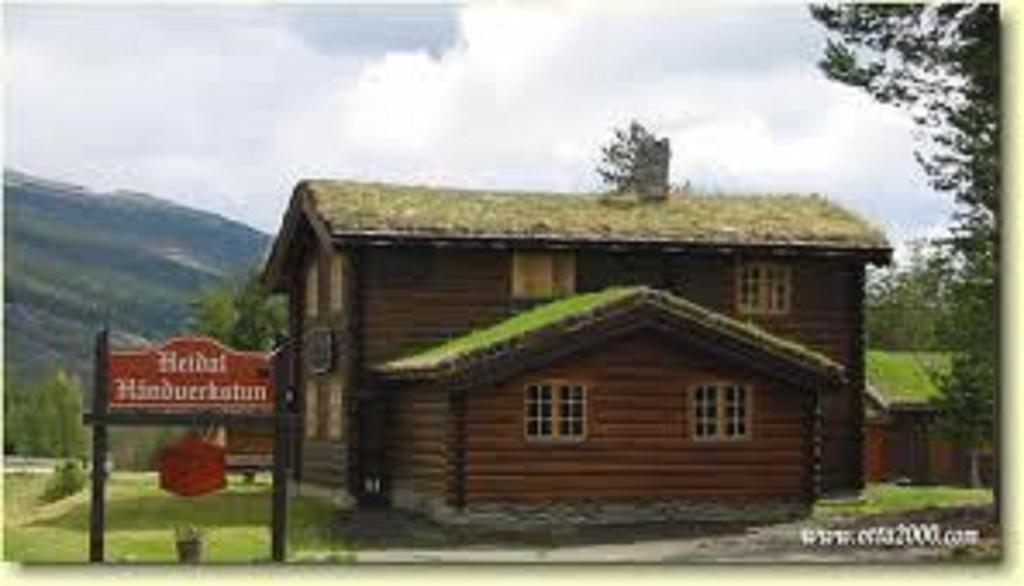 Lusaeter Timber Cabins Heidal Eksteriør bilde